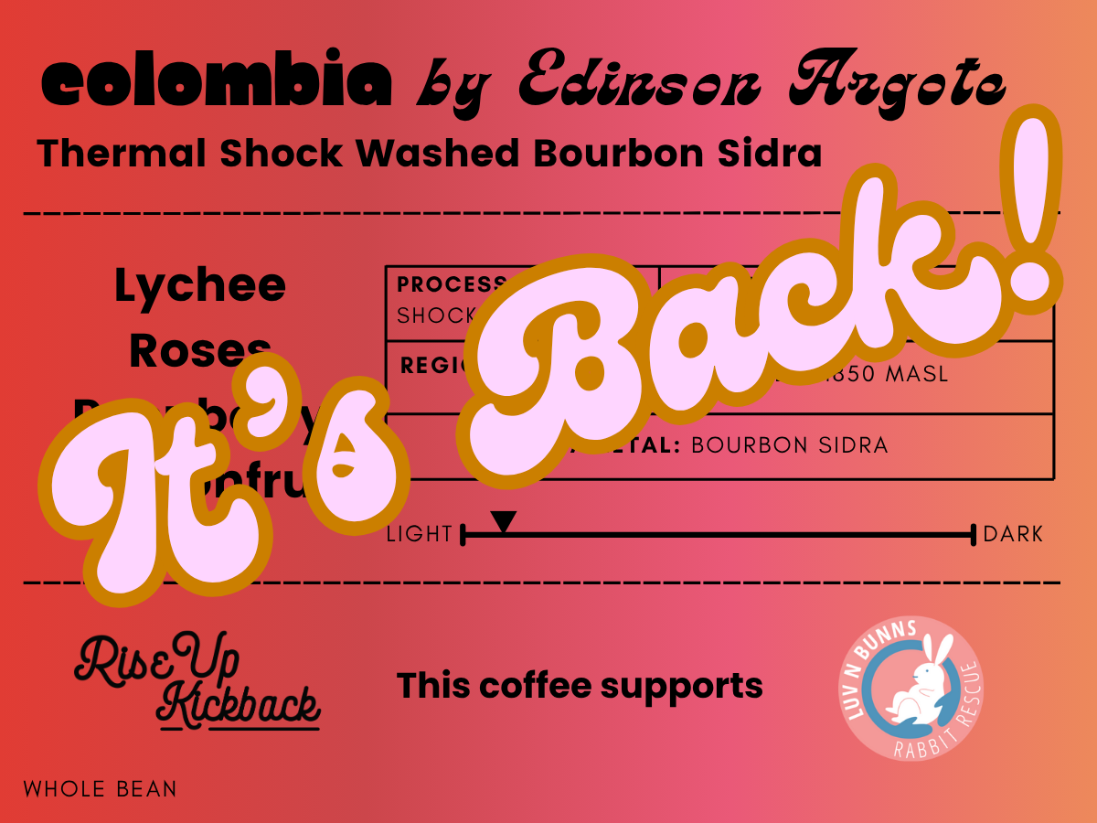 Colombia by Edinson Argote - Thermal Shock Washed Sidra