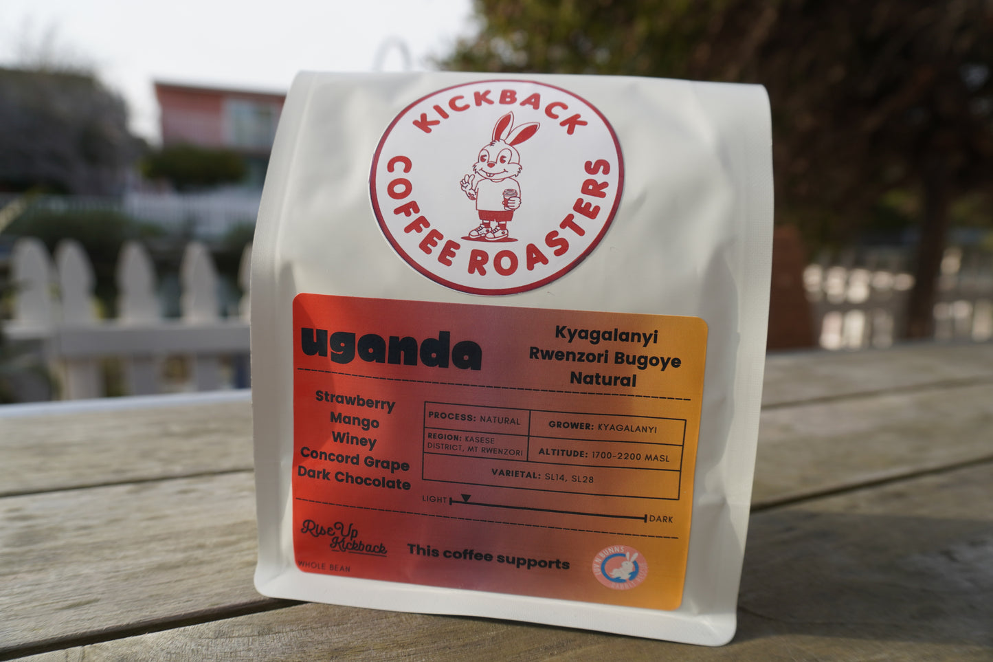 Uganda Rwenzori Bugoye - Natural