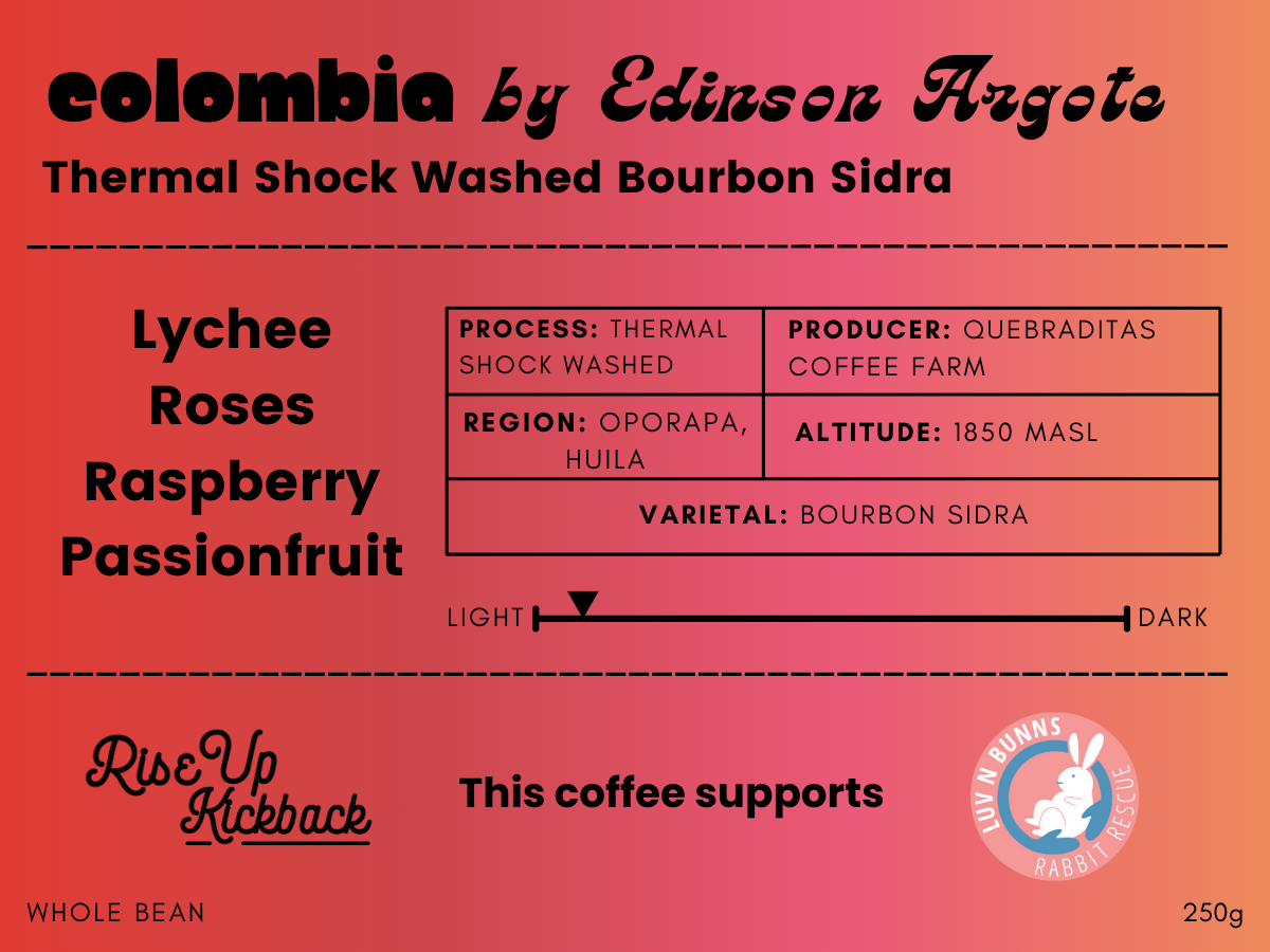 Colombia by Edinson Argote - Thermal Shock Washed Sidra