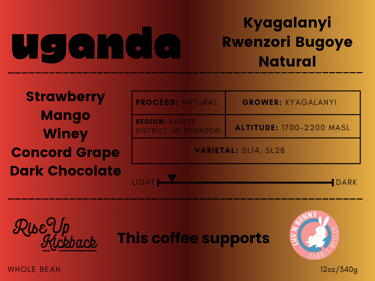 Uganda Rwenzori Bugoye - Natural