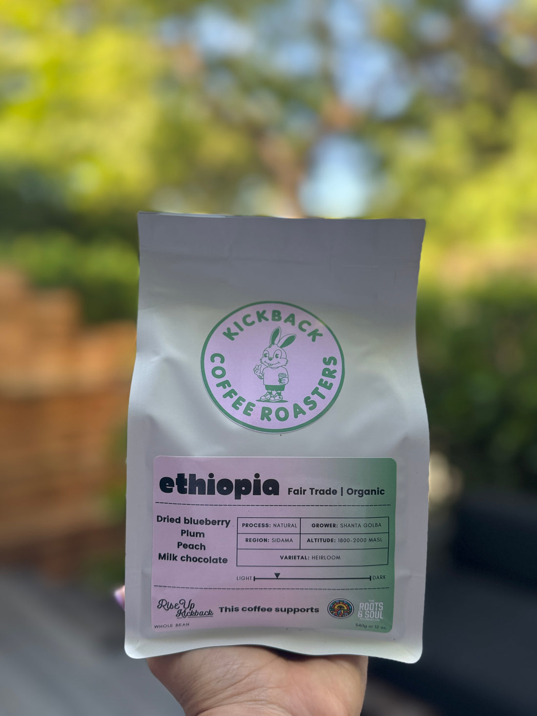 Introducing: Ethiopia Sidama Shanta Golba