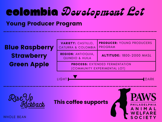 Young Producer Program – Development Lot