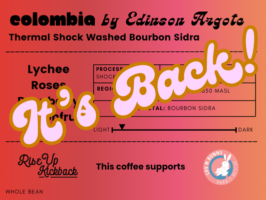 Colombia by Edinson Argote - Thermal Shock Washed Sidra