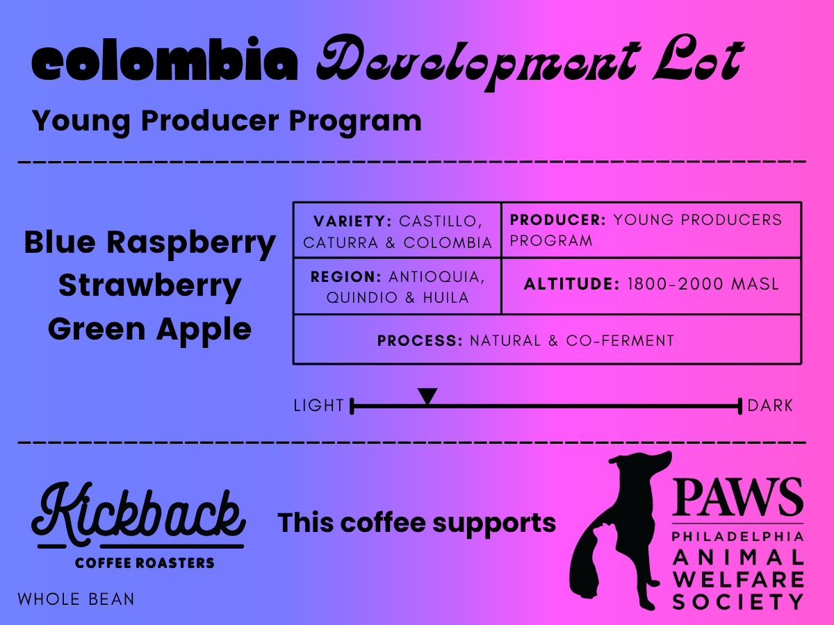 Young Producer Program – Development Lot