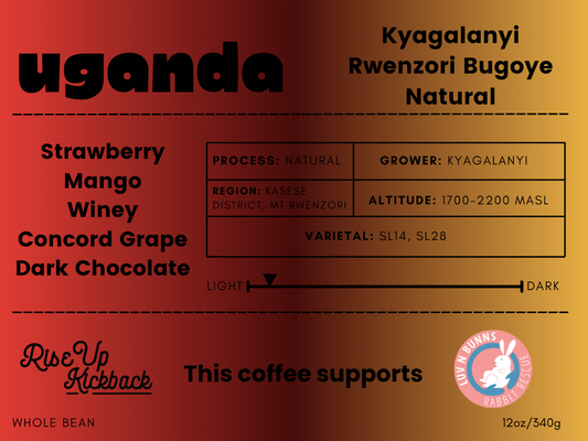 Uganda Rwenzori Bugoye - Natural